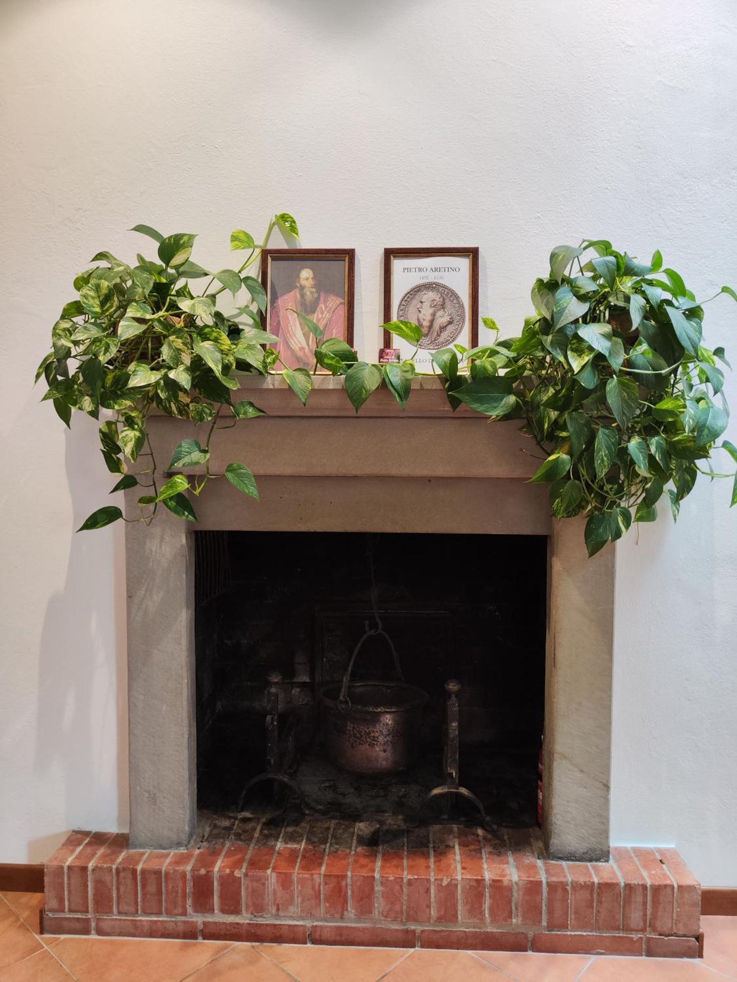 Casa Di Pietro Aretino, Arezzo Centro Storico 4-8 Letti Apartment ภายนอก รูปภาพ