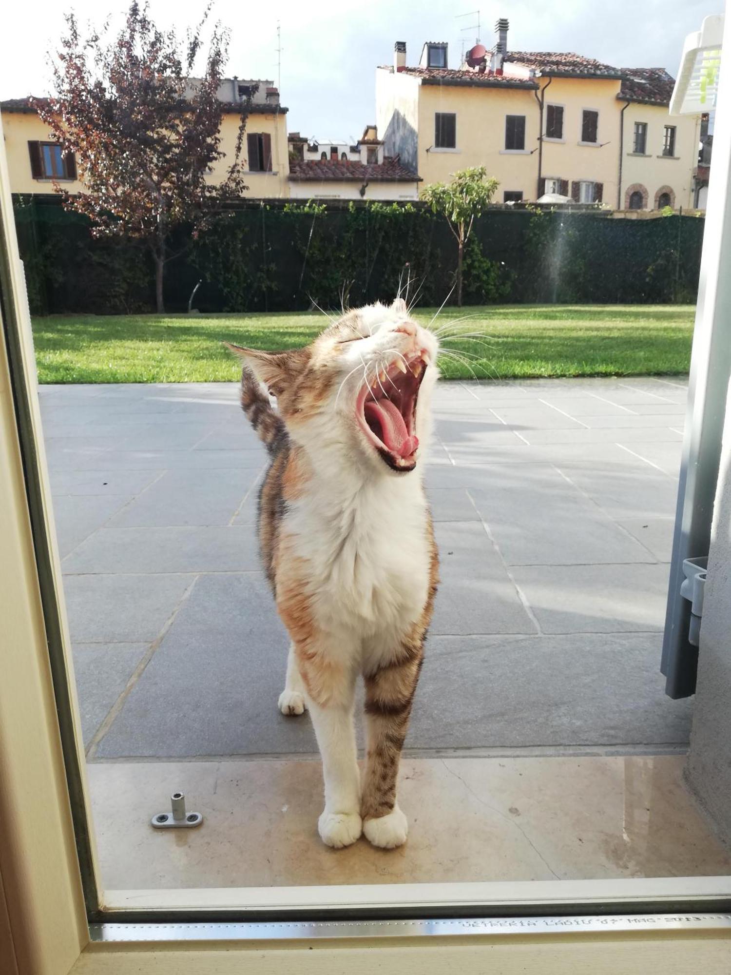 Casa Di Pietro Aretino, Arezzo Centro Storico 4-8 Letti Apartment ภายนอก รูปภาพ